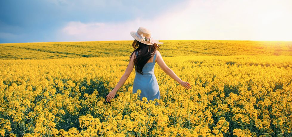 Mulher caminhando em um campo com flores amarelas