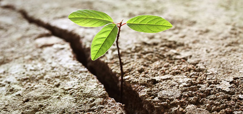 Novos começos: enxergue as chances de recomeçar