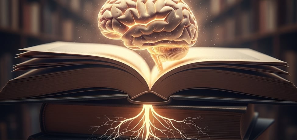 Imagem ilustrativa 2