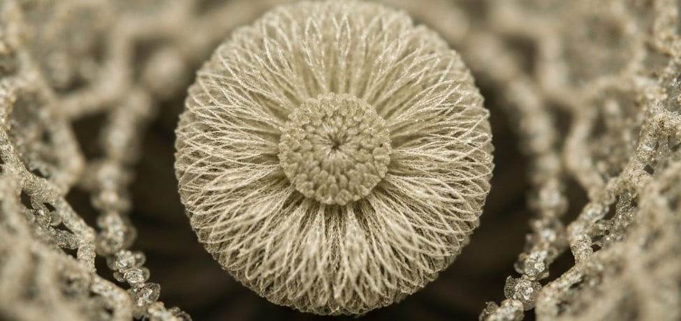 Imagem ilustrativa 2